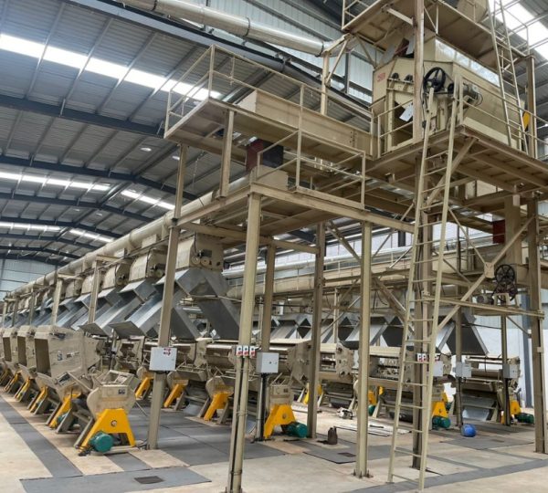 Agribusiness & Production